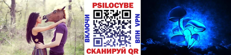 Купить Калининск Галлюциногенные грибы Cubensis